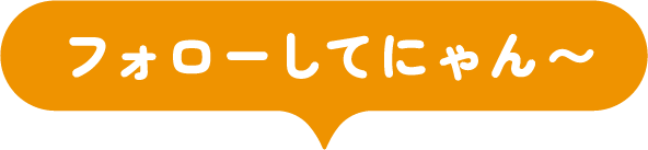 フォローしてにゃん〜