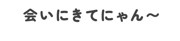会いにきてにゃん〜