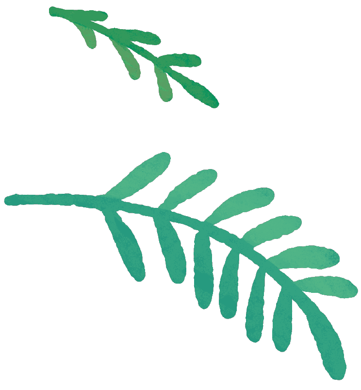 はっぱのイラスト