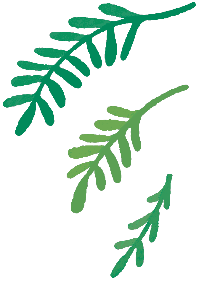 はっぱのイラスト